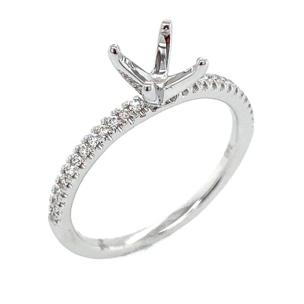 Engagement Ring Bay Area Diamond Company Green Bay, WI