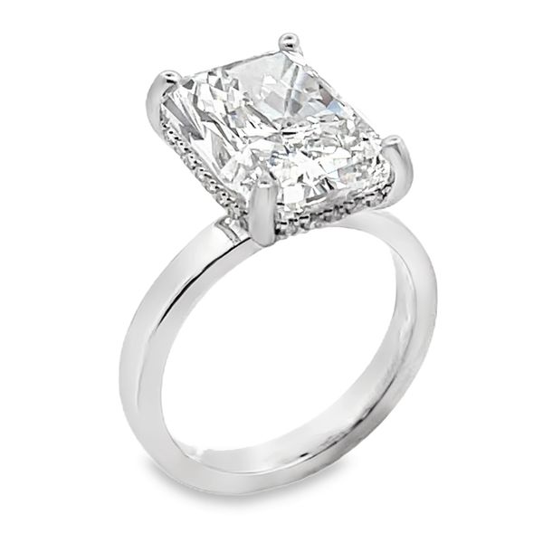 Engagement Ring Bay Area Diamond Company Green Bay, WI