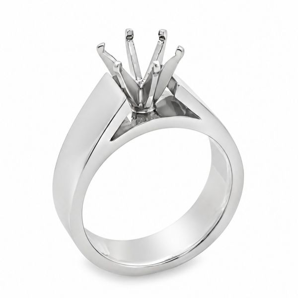 Engagement Ring Bay Area Diamond Company Green Bay, WI