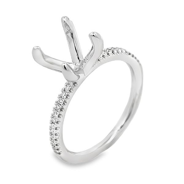 Engagement Ring Bay Area Diamond Company Green Bay, WI