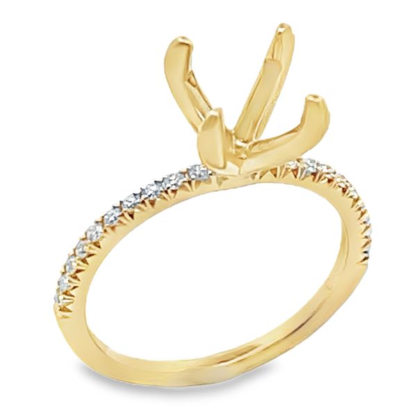 Engagement Ring Bay Area Diamond Company Green Bay, WI