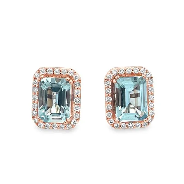 Earrings Bay Area Diamond Company Green Bay, WI