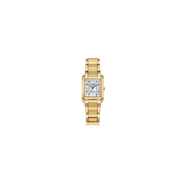 Citizen EW5602-57D Watch Bay Area Diamond Company Green Bay, WI