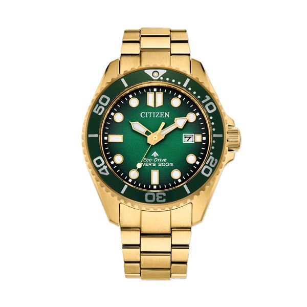 Citizen BN0262-59W Watch Bay Area Diamond Company Green Bay, WI