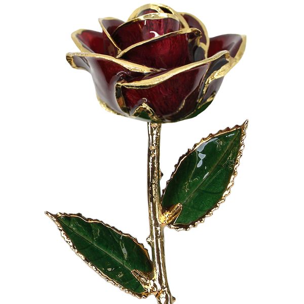 Burgundy Real Rose Dipped in 24 Karat Yellow Gold Bay Area Diamond Company Green Bay, WI