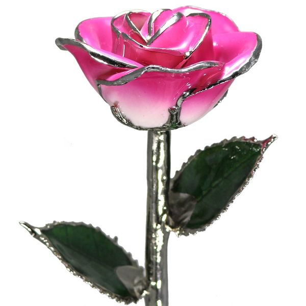 Two-Tone Pink Real Rose Dipped in Platinum Bay Area Diamond Company Green Bay, WI