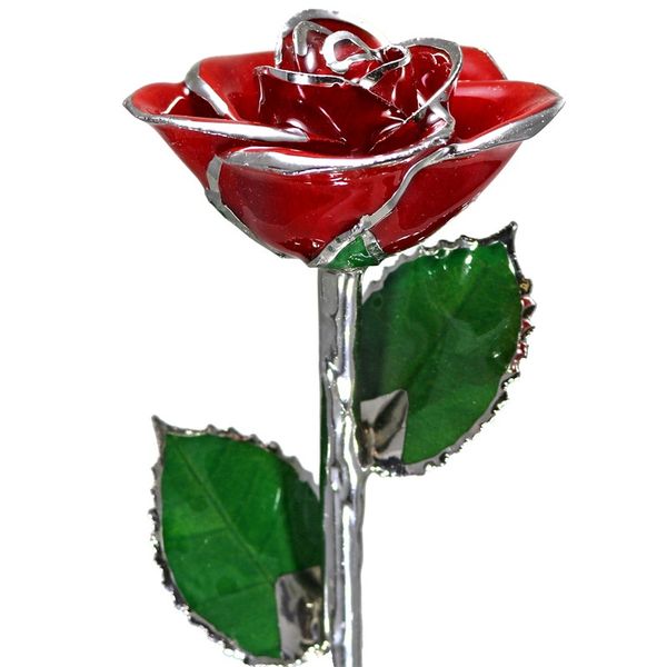 Red Real Rose Dipped in Platinum Bay Area Diamond Company Green Bay, WI