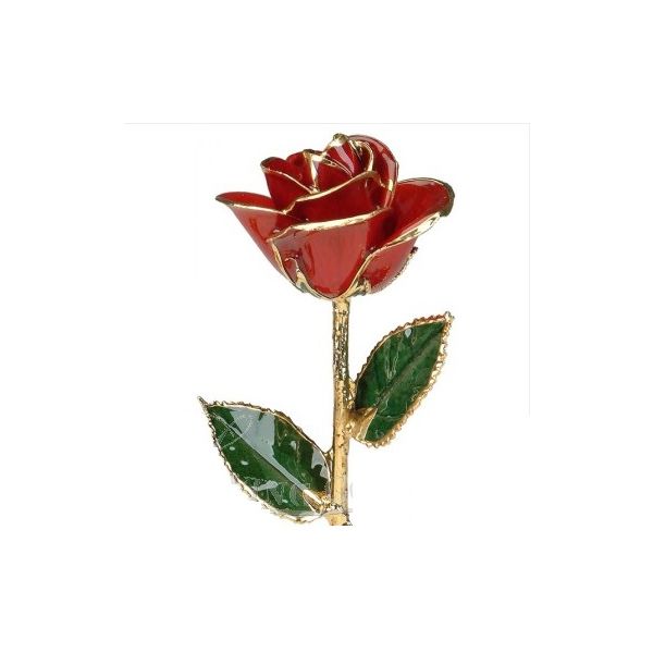 Red Real Rose Dipped in 24 Karat Yellow Gold Bay Area Diamond Company Green Bay, WI