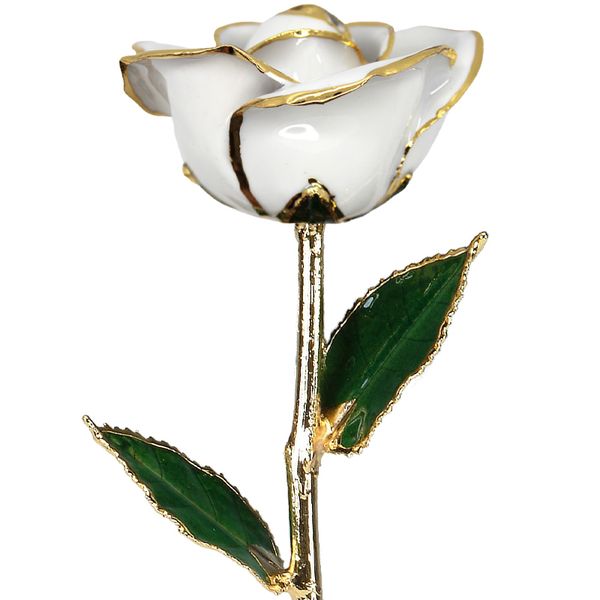 White Real Rose Dipped In 24 Karat Gold Bay Area Diamond Company Green Bay, WI