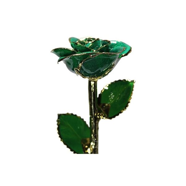 Dark Green Real Rose Dipped in 24 Karat Yellow Gold Bay Area Diamond Company Green Bay, WI