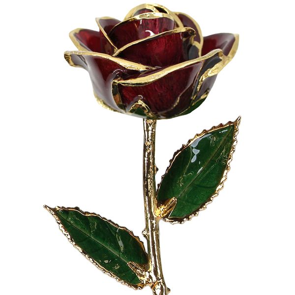 Burgundy Real Rose Dipped in 24 Karat Yellow Gold Bay Area Diamond Company Green Bay, WI