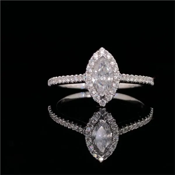 14k White Gold Marquise Halo Image 2 Becky Beauchine Kulka Diamonds and Fine Jewelry Okemos, MI