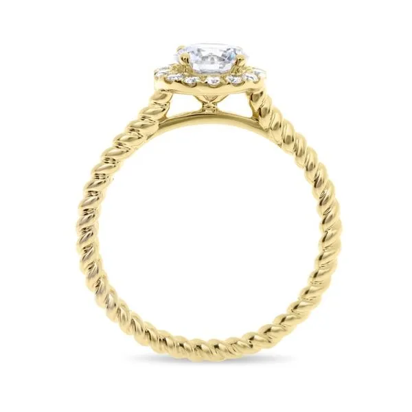 14k Yellow Gold Halo with Braided Band Image 3 Becky Beauchine Kulka Diamonds and Fine Jewelry Okemos, MI