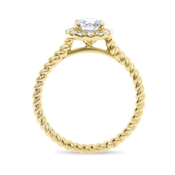 14k Yellow Gold Halo with Braided Band Image 3 Becky Beauchine Kulka Diamonds and Fine Jewelry Okemos, MI