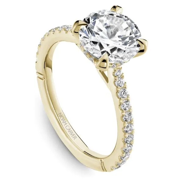 Noam Carver Hidden Halo Engagement Ring Image 3 Becky Beauchine Kulka Diamonds and Fine Jewelry Okemos, MI