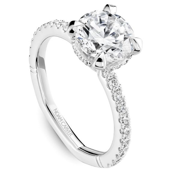 Noam Carver Hidden Halo Engagement Ring Image 3 Becky Beauchine Kulka Diamonds and Fine Jewelry Okemos, MI