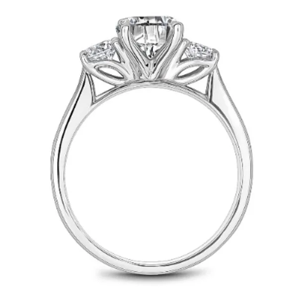 Noam Carver 3-Stone Engagement Ring Image 3 Becky Beauchine Kulka Diamonds and Fine Jewelry Okemos, MI
