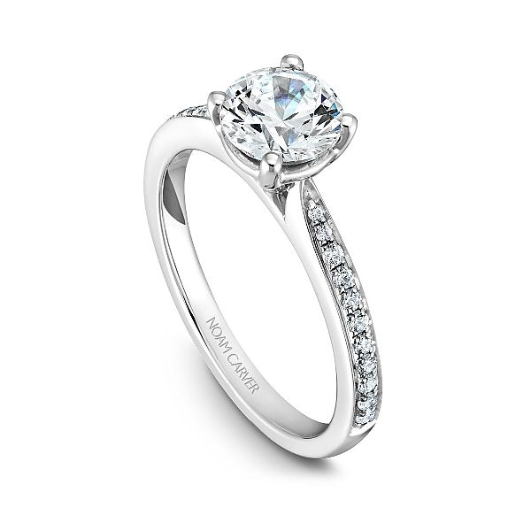 Noam Carver  Engagment Ring with String of Diamonds Image 3 Becky Beauchine Kulka Diamonds and Fine Jewelry Okemos, MI
