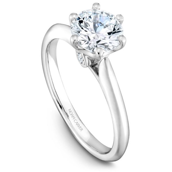 Noam Carver Solitaire Engagement Ring with Suprise Diamonds Image 2 Becky Beauchine Kulka Diamonds and Fine Jewelry Okemos, MI