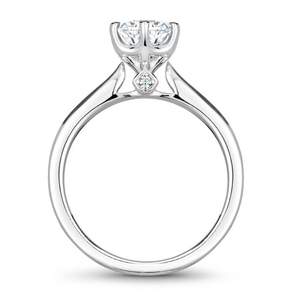 Noam Carver Solitaire Engagement Ring with Suprise Diamonds Image 3 Becky Beauchine Kulka Diamonds and Fine Jewelry Okemos, MI