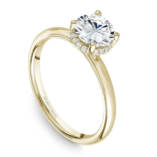 Noam Carver Solitaire Hidde Halo Engagement Ring Image 2 Becky Beauchine Kulka Diamonds and Fine Jewelry Okemos, MI