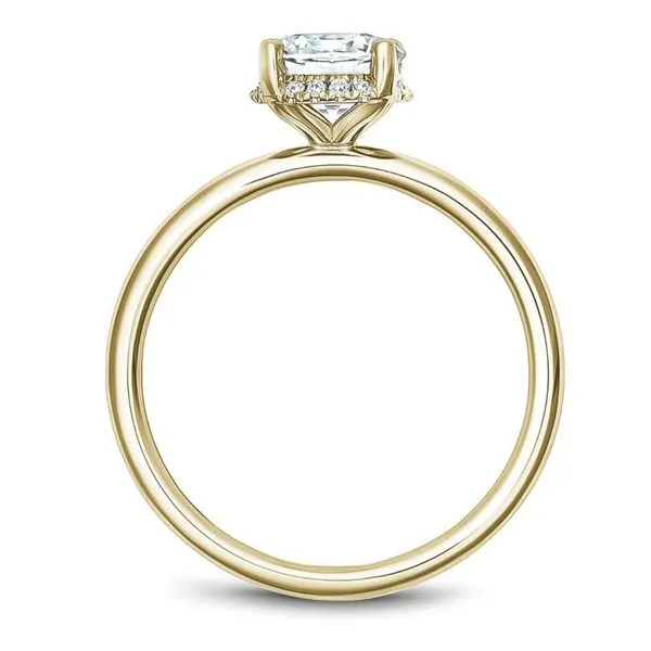 Noam Carver Solitaire Hidde Halo Engagement Ring Image 3 Becky Beauchine Kulka Diamonds and Fine Jewelry Okemos, MI