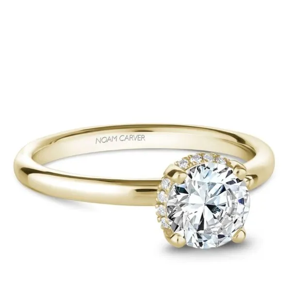Noam Carver Solitaire Hidde Halo Engagement Ring Becky Beauchine Kulka Diamonds and Fine Jewelry Okemos, MI