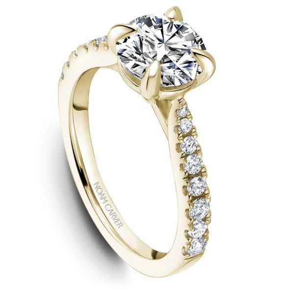 Noam Carver Round Engagement Ring Image 2 Becky Beauchine Kulka Diamonds and Fine Jewelry Okemos, MI