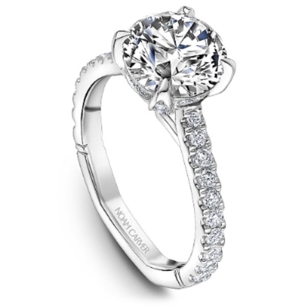 Noam Carver Round Hidden Halo Engagement Ring Image 3 Becky Beauchine Kulka Diamonds and Fine Jewelry Okemos, MI