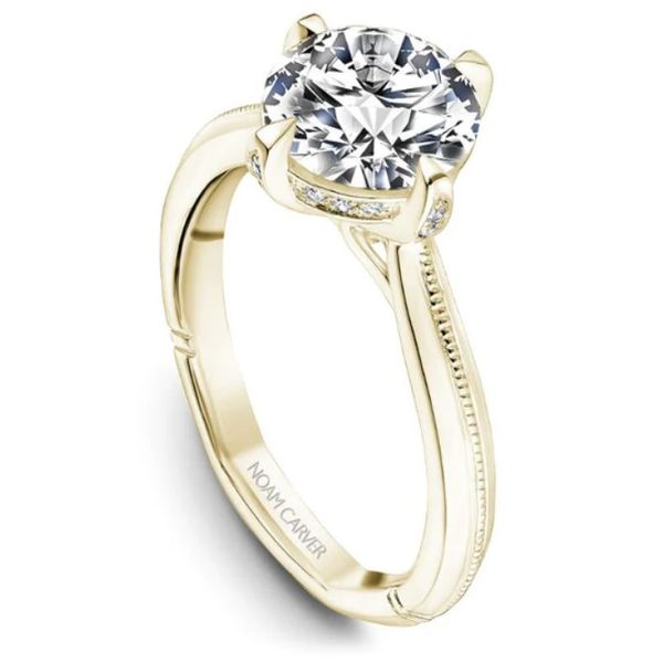 Noam Carver Compass Set Round Engagement Ring Image 2 Becky Beauchine Kulka Diamonds and Fine Jewelry Okemos, MI