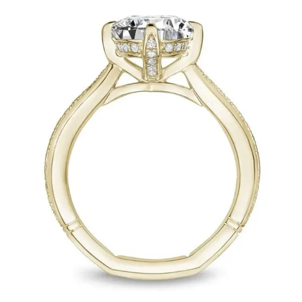 Noam Carver Compass Set Round Engagement Ring Image 3 Becky Beauchine Kulka Diamonds and Fine Jewelry Okemos, MI