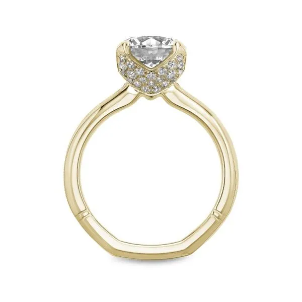 Noam Carver Solitaire Engagement Ring Image 3 Becky Beauchine Kulka Diamonds and Fine Jewelry Okemos, MI