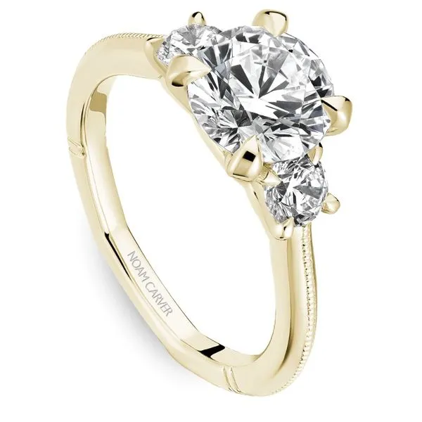 Noam Carver Round 3-Stone Engagement Ring Image 2 Becky Beauchine Kulka Diamonds and Fine Jewelry Okemos, MI