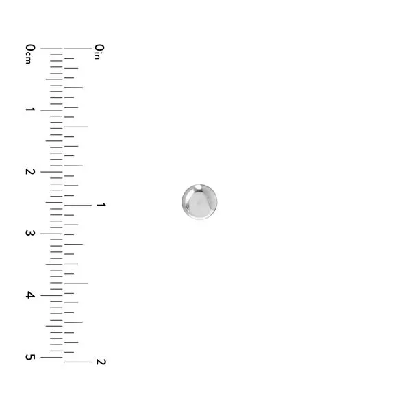14kt White Gold 5.5mm Flat Pebble  Stud Earrings Image 2 Becky Beauchine Kulka Diamonds and Fine Jewelry Okemos, MI