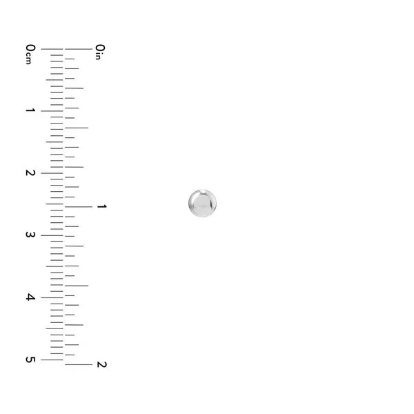 14kt White Gold 4.5mm Flat Pebble Earrings