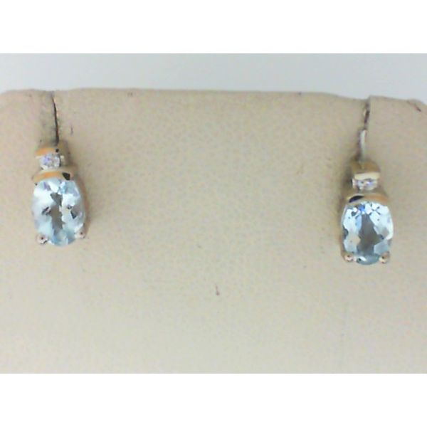 Daimond Blue Topaz/ Aquamarine Earrings Bell Jewelers Murfreesboro, TN