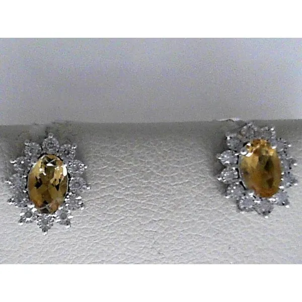 Diamond & All Other Colored Stone Earrings Bell Jewelers Murfreesboro, TN