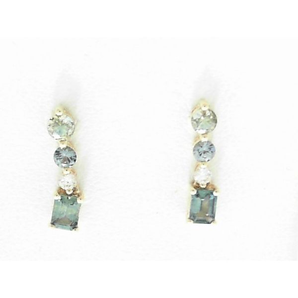 Diamond & All Other Colored Stone Earrings Bell Jewelers Murfreesboro, TN