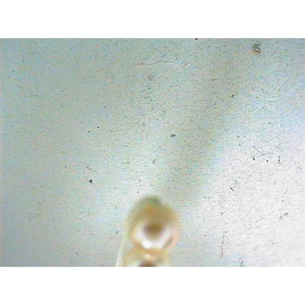 Strand of Pearls Bell Jewelers Murfreesboro, TN