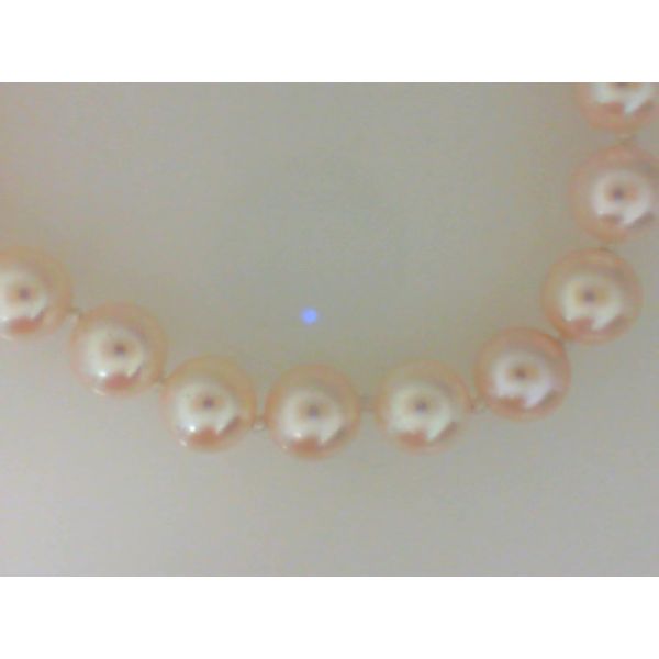 Strand of Pearls Bell Jewelers Murfreesboro, TN