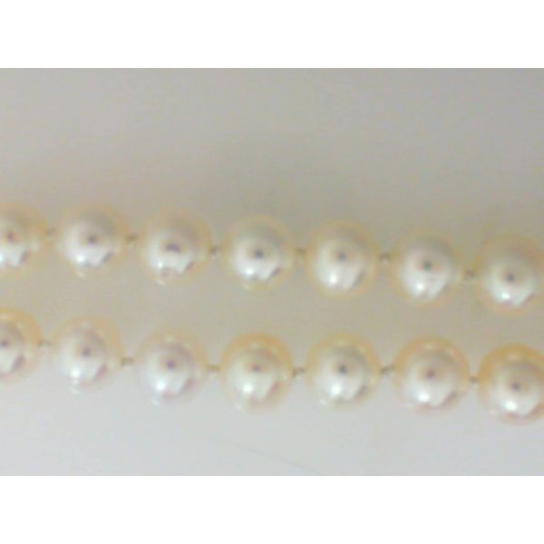 Strand of Pearls Bell Jewelers Murfreesboro, TN