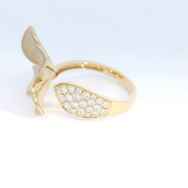 001-103-00001 Image 2 Bethany's Jewelry Wellsboro, PA