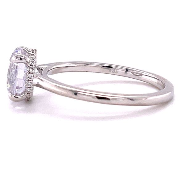 14K White Gold Solitaire Semi-Mount Ring with Diamond Head Image 5 Biondi Diamond Jewelers Aurora, CO