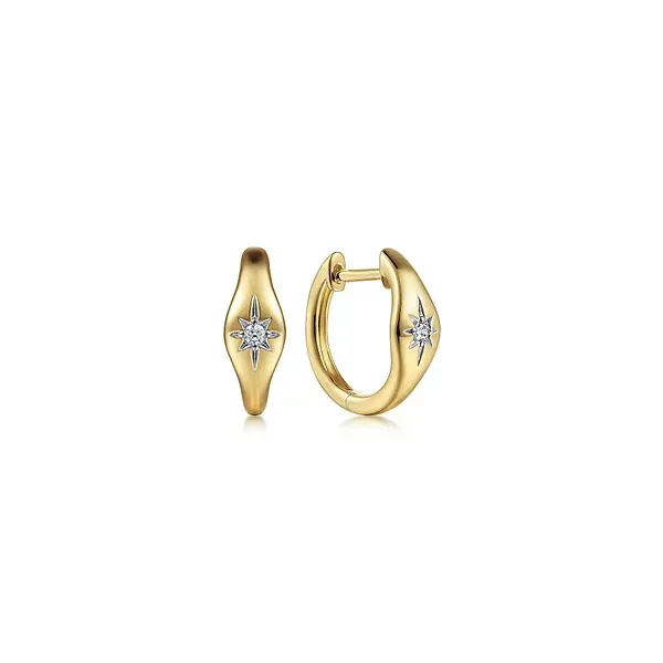 Earrings Biondi Diamond Jewelers Aurora, CO