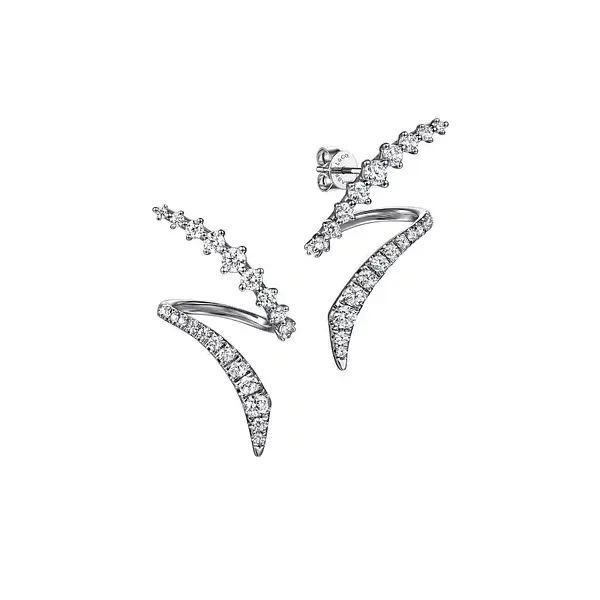Earrings Biondi Diamond Jewelers Aurora, CO