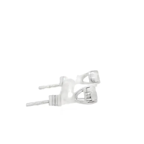 14K White Gold 0.25ctw Biondi Brilliant Diamond Stud Earrings Image 3 Biondi Diamond Jewelers Aurora, CO