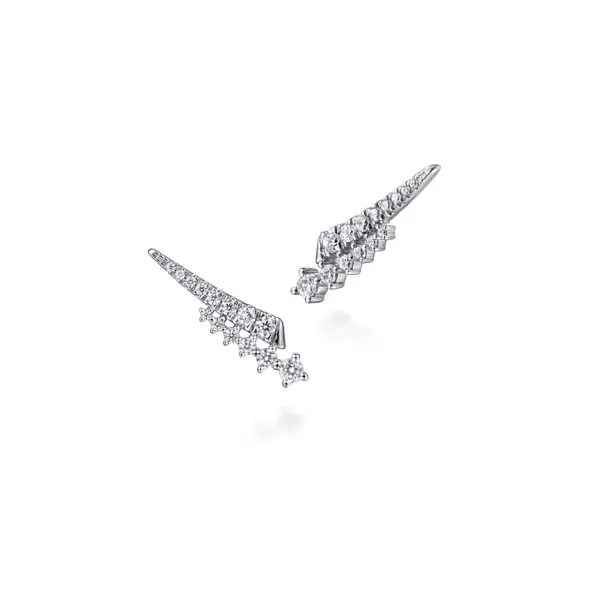 Earrings Biondi Diamond Jewelers Aurora, CO