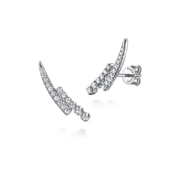 Earrings Biondi Diamond Jewelers Aurora, CO
