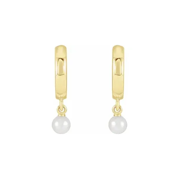 Earrings Biondi Diamond Jewelers Aurora, CO