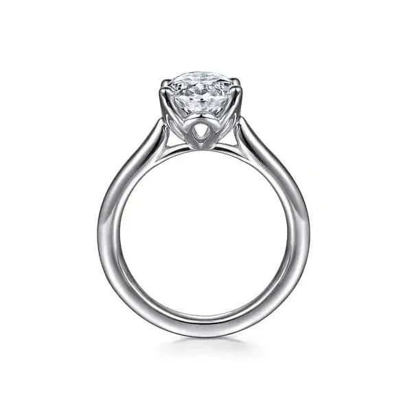 Mountings Image 3 Biondi Diamond Jewelers Aurora, CO